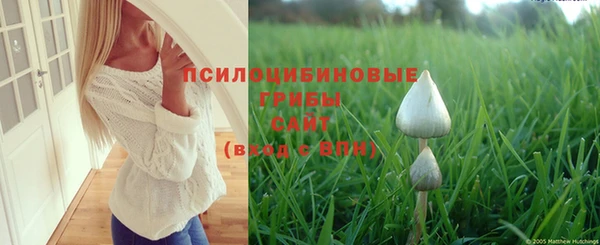 бутират Магадан