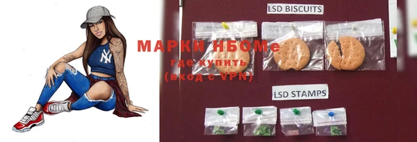 ПСИЛОЦИБИНОВЫЕ ГРИБЫ Долгопрудный