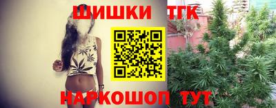 jwh Камышлов