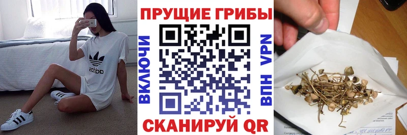 МЕГА сайт  Саранск  Псилоцибиновые грибы Psilocybine cubensis  цена  