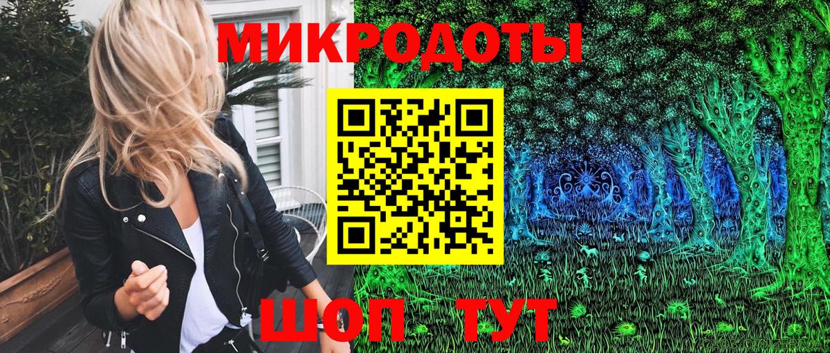 Галлюциногенные грибы Cubensis Саранск