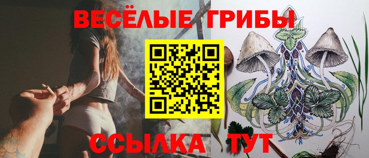 Псилоцибиновые грибы мицелий Саранск