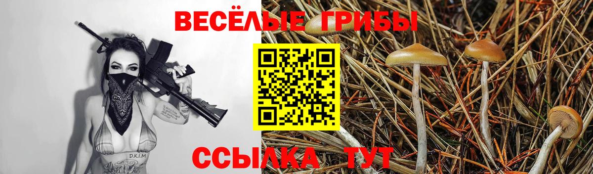 Амфетамин Саранск