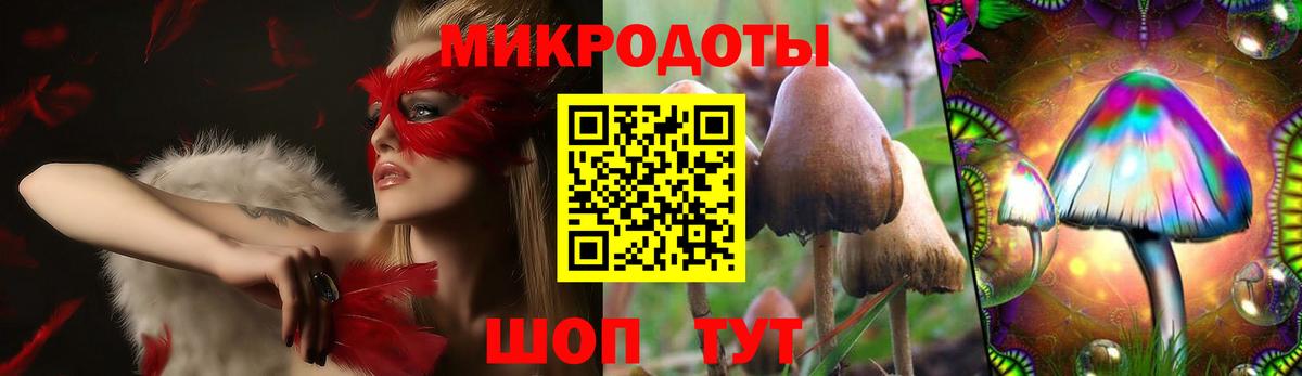 Галлюциногенные грибы MAGIC MUSHROOMS  Саранск  Псилоцибиновые грибы прущие грибы 